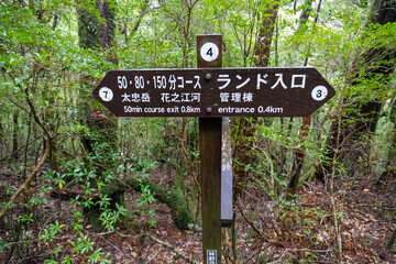 Mt. Tachu in Yakushima island