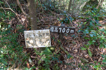 Mt. Tachu in Yakushima island
