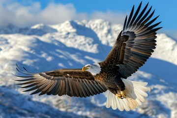 A bald eagle soars with spread wings flying in the sky on winter mountains background
