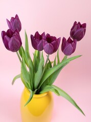 bouquet of purple tulips