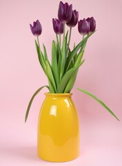 Purple tulips in a yellow vase 