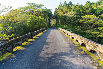 River near the Mt Mocchomu in Yakushima island, Japan