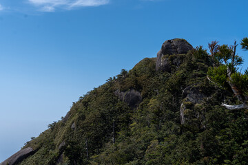 The Mt Mocchomu in Kagoshima, Yakushima island