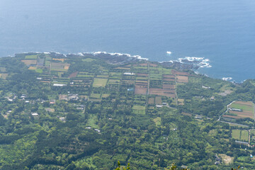 Obraz premium The Mt Mocchomu in Kagoshima, Yakushima island