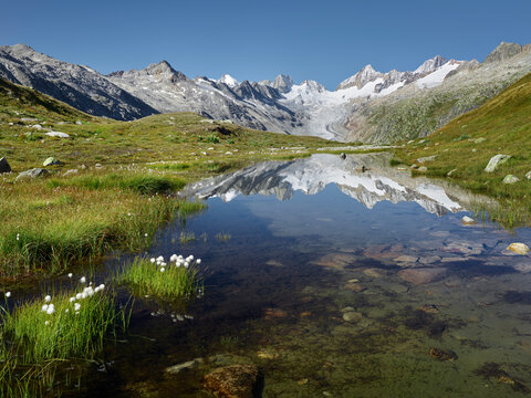 Oberaarhorn, Oberaargletscher, Triebtenseewli, Grimselpass, Berner Oberland, Schweiz