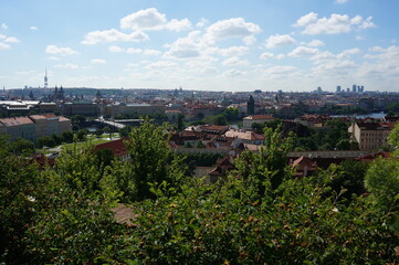 Fototapeta premium 프라하의 아름다운 여름 풍경