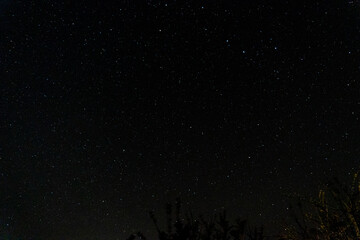 Night sky stars from around Mt. Aiko in Yakushima