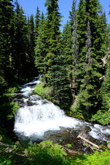 Three Sisters Wilderness Area in Deschutes/Willamette National Forest