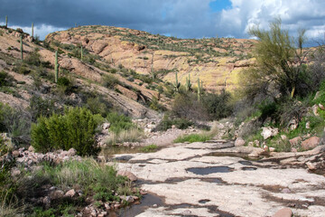 Canyon in the Arizona sonoran desert