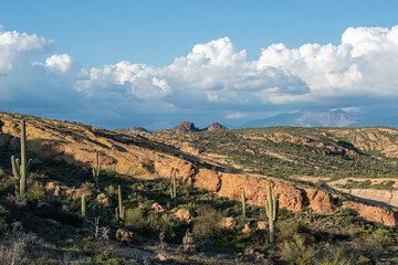 Fototapeta na wymiar Canyon in the Arizona sonoran desert