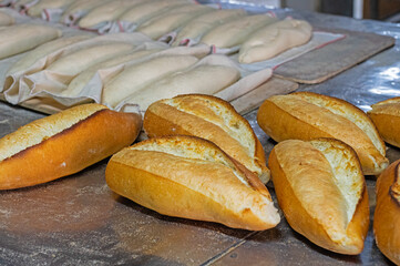 Freshly baked breads in the oven and and doughs in the background.