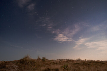 Starry Night Over Peaceful Dunes
