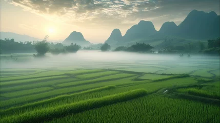 Tuinposter Guilin In the spring morning, the mature paddy field scenery, the white fog on the field. Generative AI.