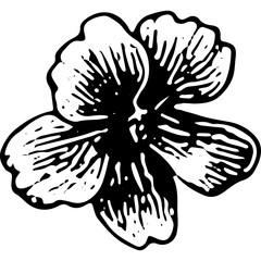 Flowerhead Illustration