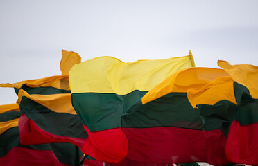 The national flag of Lithuania flutters in the wind