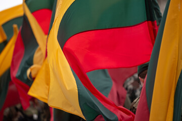 The national flag of Lithuania flutters in the wind
