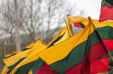 The national flag of Lithuania flutters in the wind