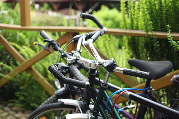 Fototapeta na wymiar Bicycles parked near the greenery