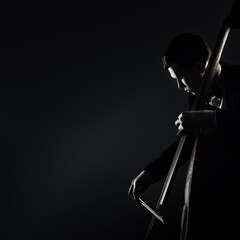 Double bass player contrabass playing - 732784143
