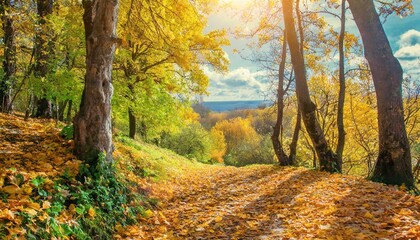 beautiful bright colorful autumn landscape with a carpet of yellow leaves natural park with autumn trees on a bright sunny day