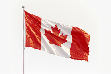 The Canadian Flag Soaring in the Sky