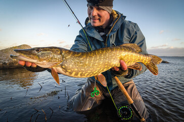 Big pike caught on fly rod in February - 732791757