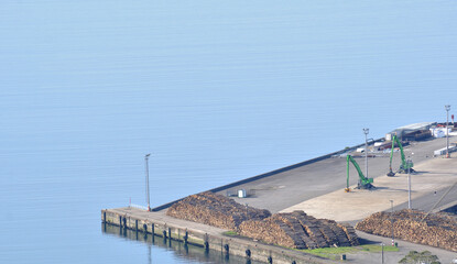 Seaport of a wooden factory with piles of tree trunks ready to be loaded onto boats