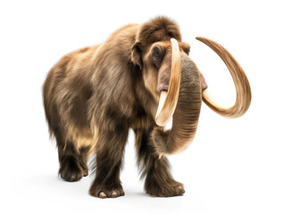 model of mammoth isolated on white transparent background, png	 - obrazy, fototapety, plakaty