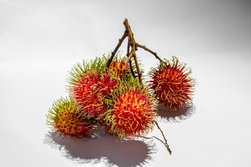 Rambutan is a tropical plant that belongs to the lerak-lerakan tribe or Sapindaceae, originating from the archipelago in Indonesia.