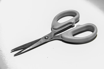 Large Stainless Steel Paper Scissors