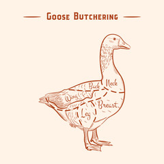 Meat cuts. Diagrams for butcher shop. Scheme of goose. Animal silhouette goose. Vector illustration.