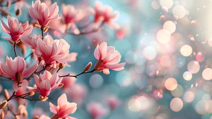 Gordijnen Beautiful blooming magnolia flowers on blurred bokeh background.  © rob3rt82