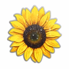 Vibrant Yellow Sunflower Illustration with Water Drops on Petals
