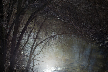 sun shining down on the creek