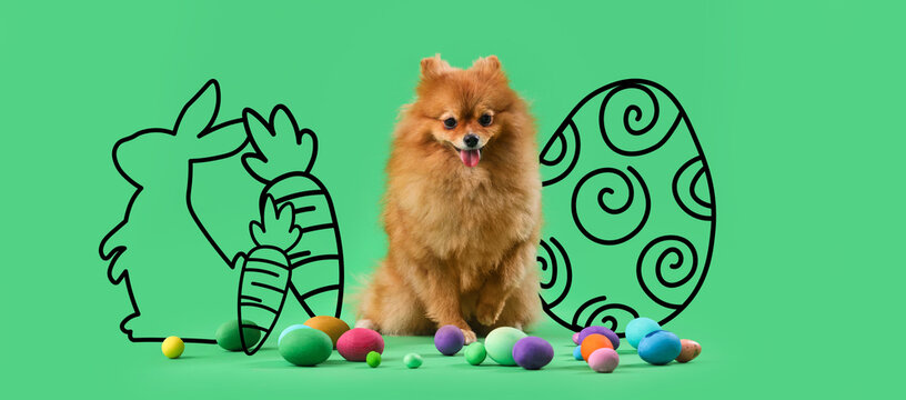 Cute Pomeranian dog with Easter eggs on green background