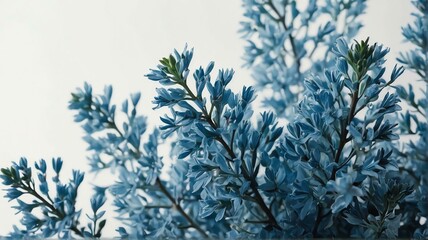 Bush of light blue on plain white background from Generative AI