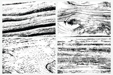 Abstract tree wood surface texture background set. Nature wooden texture collection. Black and white. Vector background design. Forest finds collection, natural tree flat set. - obrazy, fototapety, plakaty