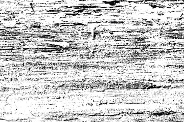 Abstract tree wood surface texture background. Nature wooden texture. Black and white. Vector background design. Forest finds collection, natural tree flat. - obrazy, fototapety, plakaty