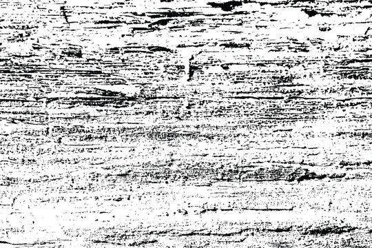 Abstract tree wood surface texture background. Nature wooden texture. Black and white. Vector background design. Forest finds collection, natural tree flat.