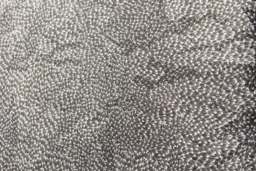 black leather texture background, black and white, monochrome