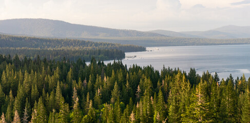 wide of lake Tahoe, with trees on the let and lake on the right