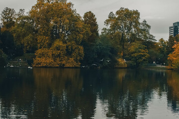 autumn in the park