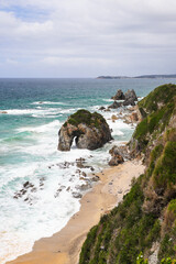 Horse Head rock, Bermagui, NSW, south coast, copy space