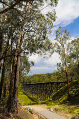 Historic Trestle bridge, Rail Trail Gippsland, Lakes Entrance.