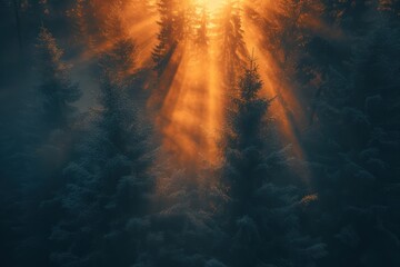 Fototapeta premium Calm reflection of the sunset in a peaceful forest