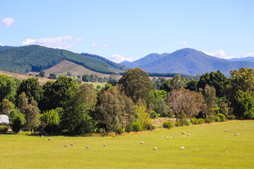 View of landscape from Bright, Victoria with Mount Buffalo in background