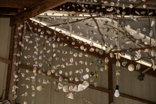 Muschelketten am Strand