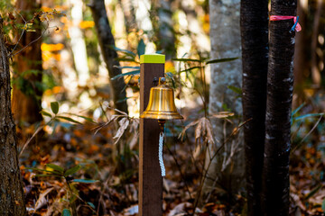 A bell inside a forest trail incase and to ring it should there be any sighting of wild bear in vicinity.