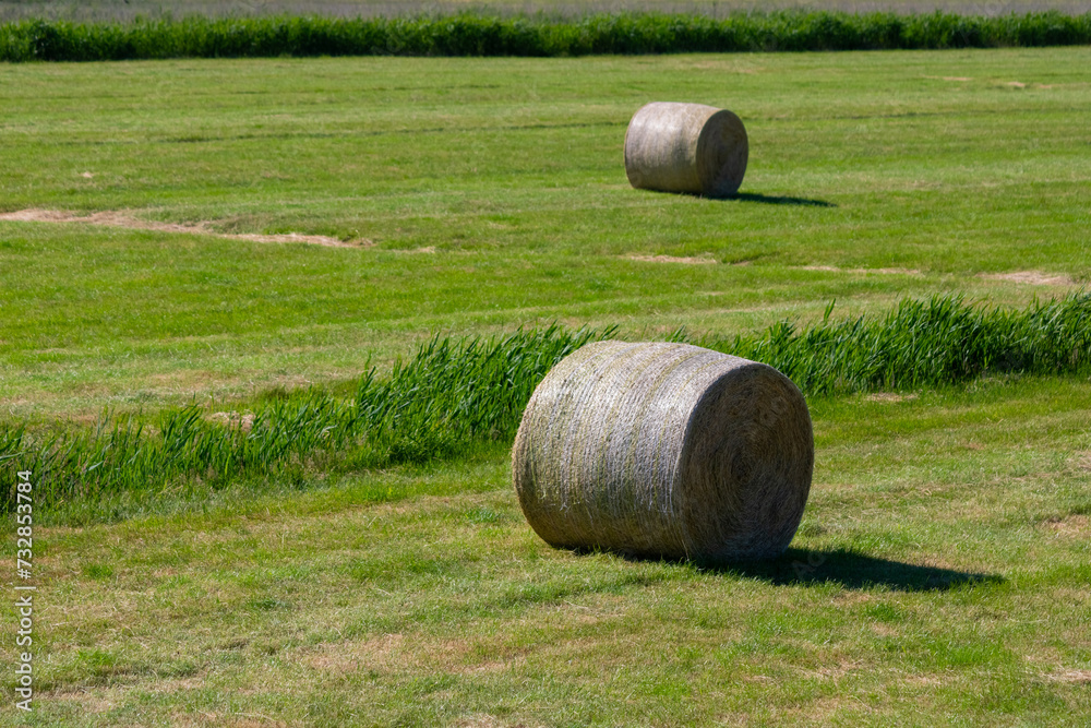 Wall mural Hay bales on field