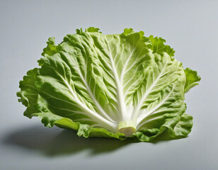 A single piece of a lettuce leaves isolated on plain white background from Generative AI